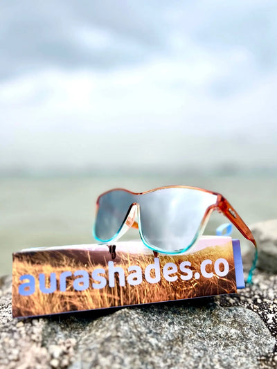 DISCO PIGEON TAKES FLIGHT Aura Shades